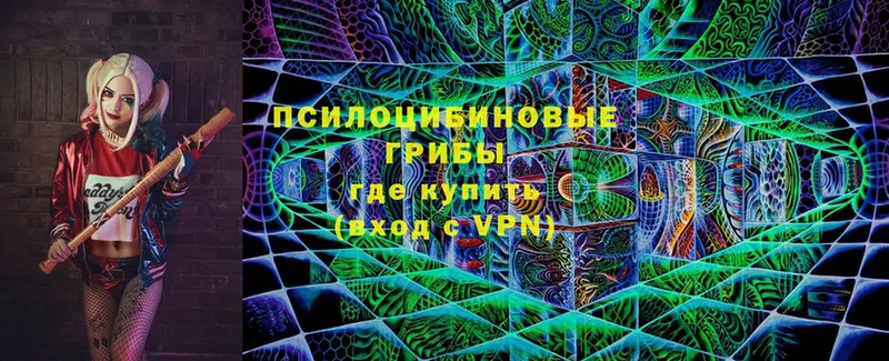 Галлюциногенные грибы MAGIC MUSHROOMS  Адыгейск 